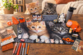 A tabletop display of a large printed cat-themed mat or rug featuring two cats, surrounded by small accessories including pens, clips, a plush toy, a water bottle, and small decorative items on a white surface.