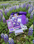 Purple stationery items on a grassy field with purple flowers